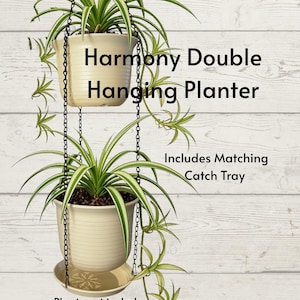 May include: A cream-colored double hanging planter with black chains. The text reads Harmony Double Hanging Planter, Includes Matching Catch Tray, and Plants not included. The planter features horizontal ridges and a round base tray.