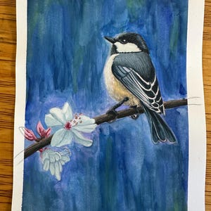 以下が含まれることがあります： 白い花とピンクの花が咲く枝に止まっている小さな鳥の水彩画。鳥は黒い頭、灰色の羽、ベージュの胸をしています。背景は青いウォッシュです。