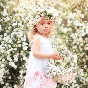 Digital Background, Photo Overlays, Background Replacement, Photography Backgrounds & Backdrops, White Flower Field, Floral Headband, Basket image 1