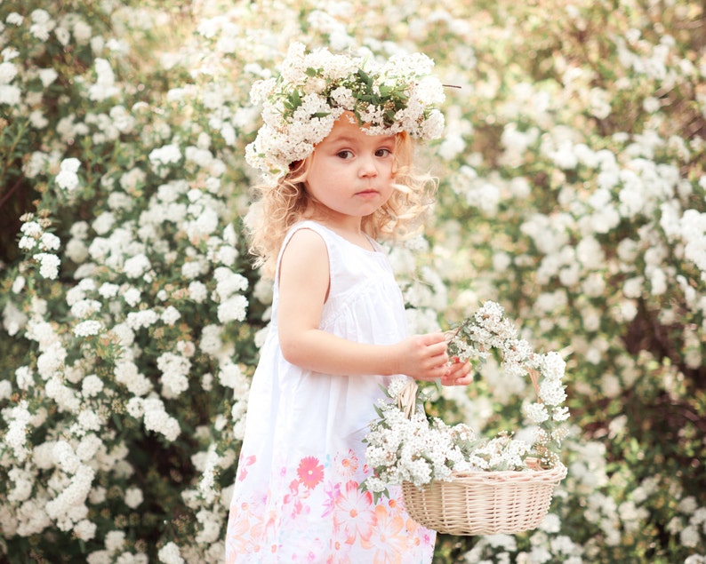 Digital Background, Photo Overlays, Background Replacement, Photography Backgrounds & Backdrops, White Flower Field, Floral Headband, Basket image 1