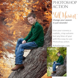 May include: A person in a green top, blue jeans, and brown boots sits on a tree branch, with autumn leaves in the background. Text on the right says "PHOTOSHOP ACTION Fall Harvest Change your season in just seconds!" and "AsheDesign.com".