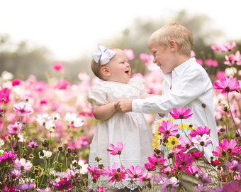 Digital Background, Photo Overlays, Background Replacement, Photography Backgrounds & Backdrops, Wind Flowers, Pink Flower Field