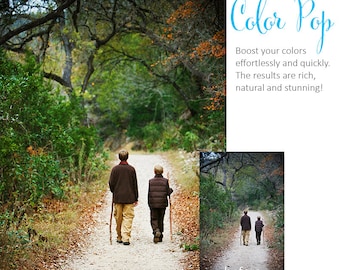 Photoshop Action | Pure Palette - Color Pop - Photography Editing Made Easy With This One (atn) Action to Install on Your Computer.