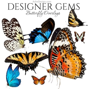Designer Gems Overlays - BUTTERFLY OVERLAYS - (8) file Photoshop .png - Sovrapposizioni digitali per le tue foto e pagine rapide.