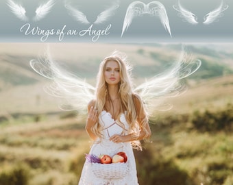 Designer Gems Overlays - Ailes d'un ange - (4) fichiers Photoshop .png - Superpositions de photographie pour vos photos et pages rapides.