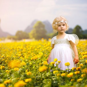Digital Background, Photo Overlays, Background Replacement, Photography Backgrounds & Backdrops, Marigold Fields, Yellow Flower Field