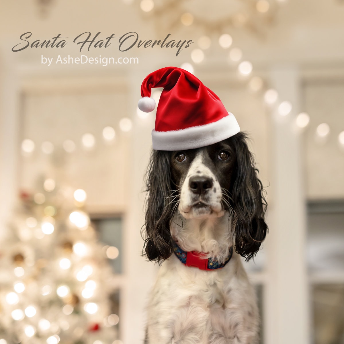 Santa and Elf Hat Overlays, Christmas Overlays, Santa Hat Overlay, Elf ...