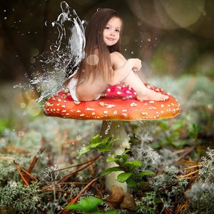 Digital Background, Photo Overlays, Background Replacement, Photography Backgrounds & Backdrops, Enchanted Forest, Magical Water Fairy Wings