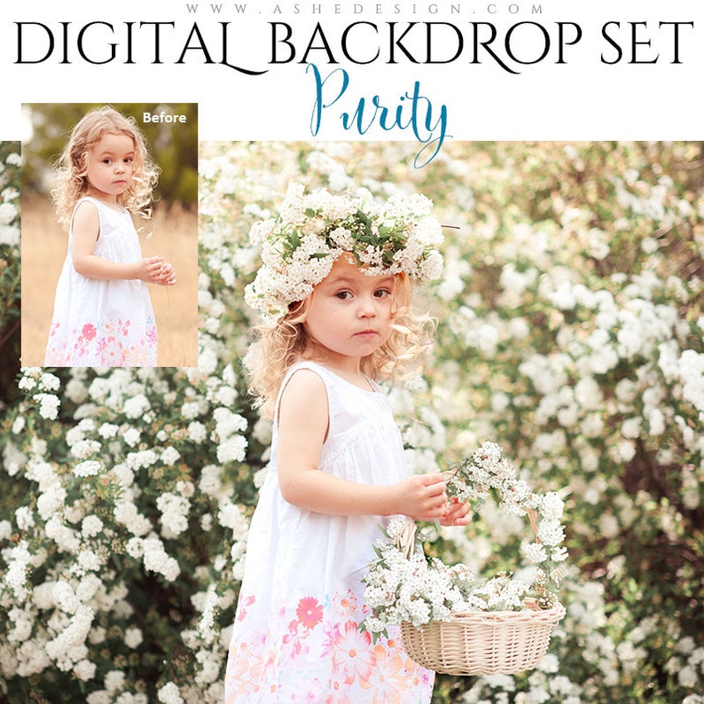 Digital Background, Photo Overlays, Background Replacement, Photography Backgrounds & Backdrops, White Flower Field, Floral Headband, Basket image 2