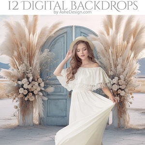 12 Boho Desert digitale fotografie achtergronden, Photoshop Overlays, Studio achtergronden voor fotografen, bruiloft & moederschap achtergronden