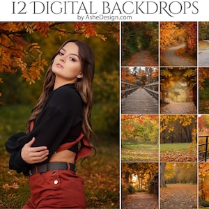 Fall Digital Backdrops, Autumn Portrait Backgrounds, Fall Foliage Photography, Senior Photos, Family Portraits, The Golden Season