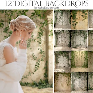 May include: Twelve digital backdrops featuring a vintage, tiled wall with ivy growing over it. The backdrops are ideal for photographers and graphic designers.
