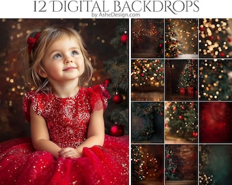 12 Christmastime Bokeh Digital Photography Backdrops, Photoshop Overlays, Studio Backdrops For Photographers, Wedding & Senior Backdrops