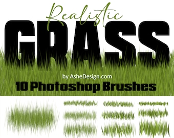 Photoshop Brush Set - Realistic Grass Brushes - (1) .abr file to Install in Photoshop with Instructions on How to Load your Brush Set.