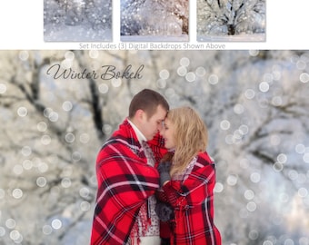 DIGITAL Photography Backdrop Set - Winter Bokeh - (3) 16x20 Large Backdrops for Scrap Bookers and Photographers.