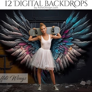 12 Graffiti Wings Digital Photography Backdrops, Photoshop Texture Overlays For Photographers, Senior Backdrops, Studio Backdrops