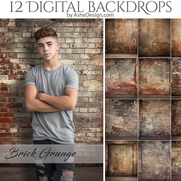 12 Vintage Brick Grunge Digital Photography Backdrops, Photoshop Overlays, Studio Backdrops For Photographers, Wedding & Senior Backdrops
