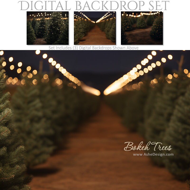 DIGITAL Photography Backdrop Set - Bokeh Trees - (3) 16x20 Large ...