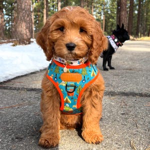 Personalized Dog Harness: Tahoe Adventure Print, Adjustable Padded Pet Harness