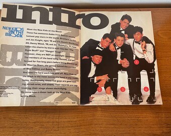 Adesivo New Kids On The Block &ndash; 2 Pezzi, Ritagliato, Bianco, Prodotto Negli USA