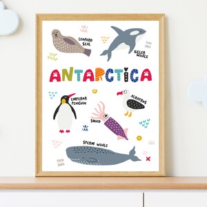 Lámina artística con temática de animales de la Antártida: adorable decoración de guardería inspirada en la jungla, arte de pared adorable para habitación de niños, regalo para baby shower, póster con temática de animales