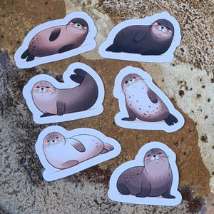 Pegatinas de focas: pegatinas impermeables, pegatinas de animales para niños, regalos para la vuelta al cole, regalos para niños, set de pegatinas de animales