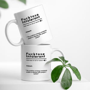 May include: Two white ceramic mugs stacked on top of each other. The mugs have a handle and feature the text "Fucktose Intolerant" with a definition. A green plant with large leaves is in the foreground.