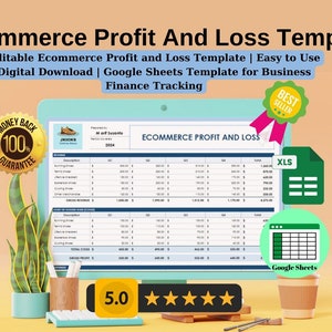 Ecommerce Profit and Loss Google Sheet Template (Digital Download)
