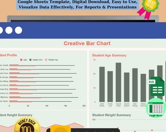 Creative Bar Chart Template: Editable Google Sheets (Digital Download)