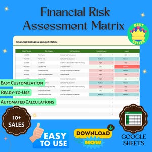 Financial Risk Assessment Matrix Template, Editable Google Sheets, Digital Download for Risk Evaluation & Financial Decision-Making