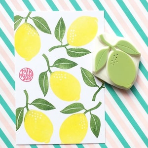 Timbro in gomma a forma di limone, timbro a forma di agrumi, timbro intagliato a mano, regalo per creativi