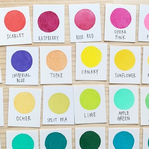 Puede incluir: Un conjunto de 20 muestras de pintura con nombres de colores escritos debajo de cada muestra. Los colores incluyen magenta, escarlata, frambuesa, rojo rosado, rosa &oacute;pera, rosa, malva, azul imperial, topacio, canario, girasol, cal&eacute;ndula, marr&oacute;n, ocre, guisante partido, lima, verde manzana, verde fresco, verde azulado y verde bosque.