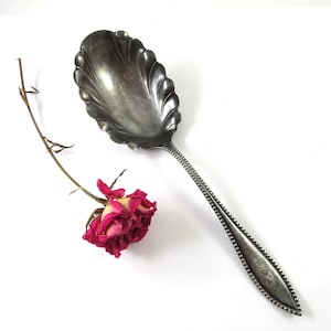 May include: A vintage silver-toned serving spoon with a decorative, scalloped bowl and a beaded handle. A dried, pink rose and stem are next to the spoon on a white background. The spoon is likely made of silver-plated metal.
