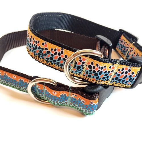 fish dog collar
