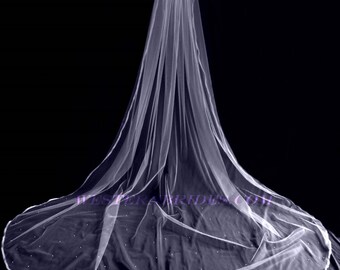 VEIL with sheer ribbon on the edge and PEARLS on the train of the veil