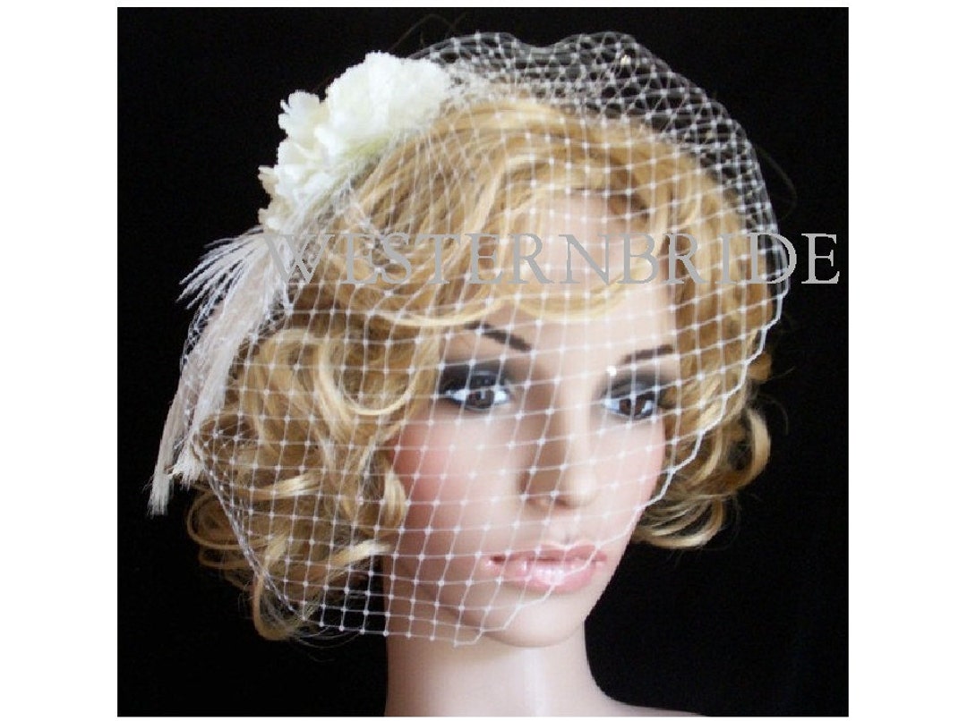 AMELIA Ivory Birdcage Veil With Swarovski Crystals. Flower Comb Brand New. Etsy