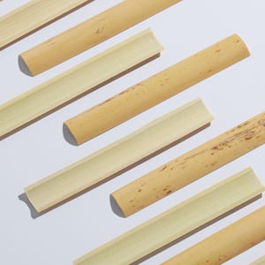 Eccentric Gouged Bassoon Cane 10-piece bundle