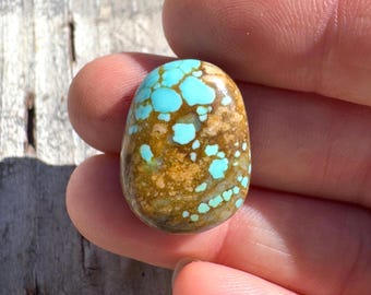 Number #8 Turquoise Cabochon: Polished Gemstone - 22.35 x 16.7 mm, (18.9 cts)