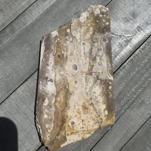 May include: A natural stone slab with a rough, irregular shape. The stone features a blend of beige, brown, and white hues with a mottled pattern. The surface has a textured appearance, with small, circular indentations.