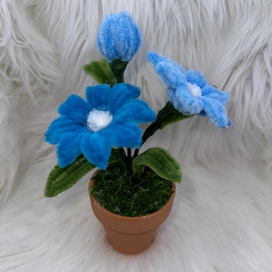 Puede incluir: Una pequeña planta en maceta con tres flores azules y peludas y hojas verdes. La maceta es marrón y las flores están hechas de limpiapipas.