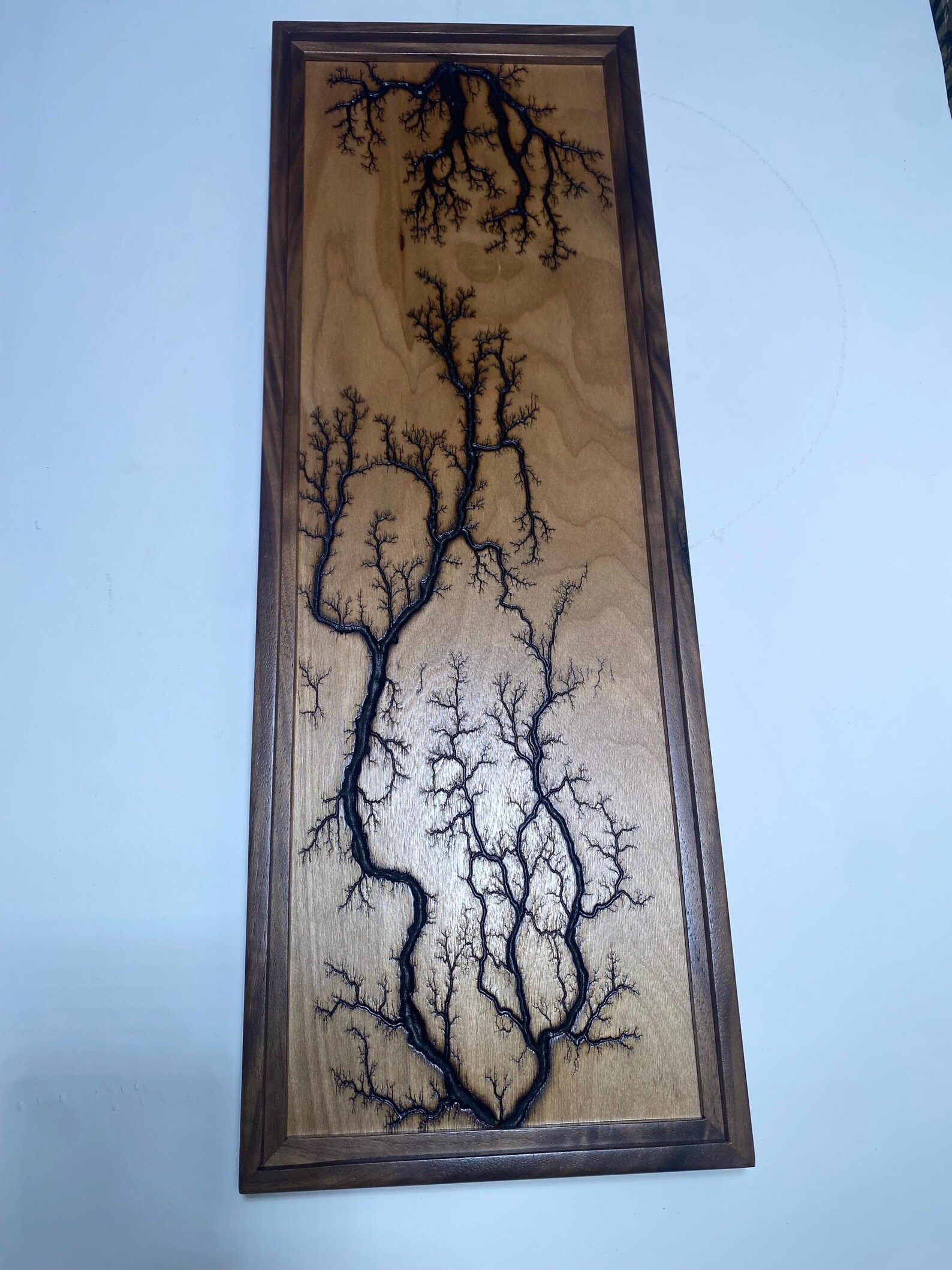 Lichtenberg Fractal Wood Burning Wall Art Framed Etsy