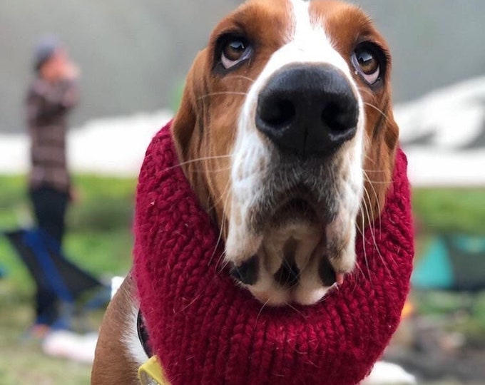 Basset Hound Snood, Knit Dog Snood, Snood for Dogs, Dog Lover Gift, Dog