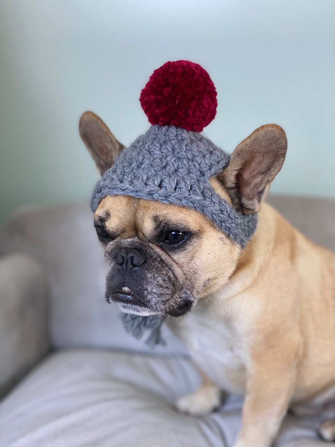 Dog beanie with pom pom / dog hat / crocheted dog hat / dog Etsy