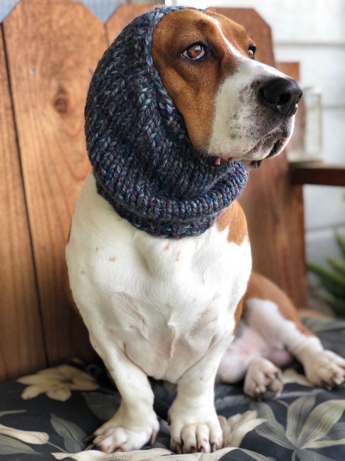 Basset Hound Snood Knit Dog Snood Snood for Dogs Dog Lover Etsy