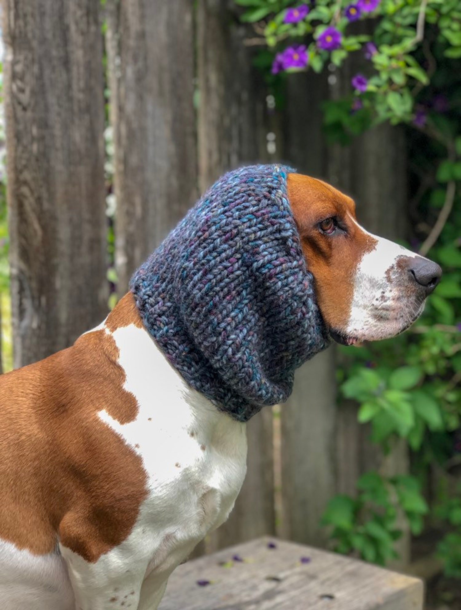 Basset Hound Snood Knit Dog Snood Snood for Dogs Dog Lover Etsy