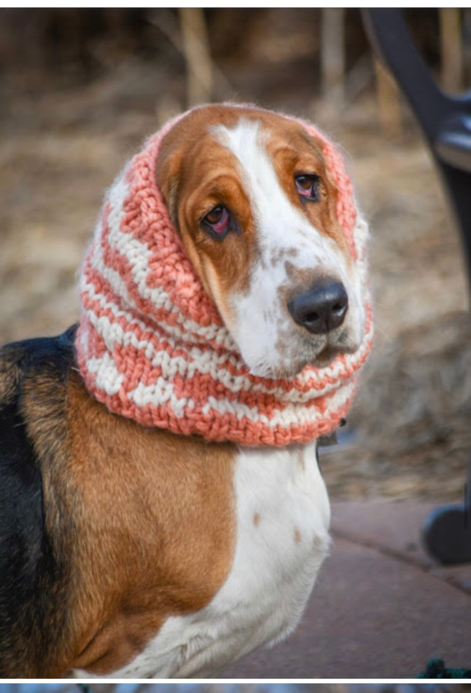 Basset Hound Snood Knit Dog Snood Snood for Dogs Dog Lover Etsy