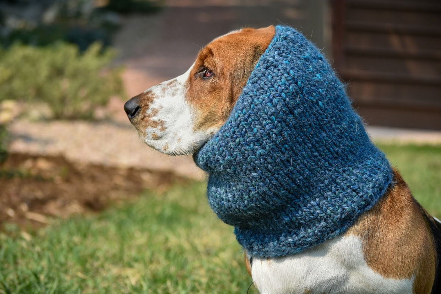 what-is-a-hound-dog-slang