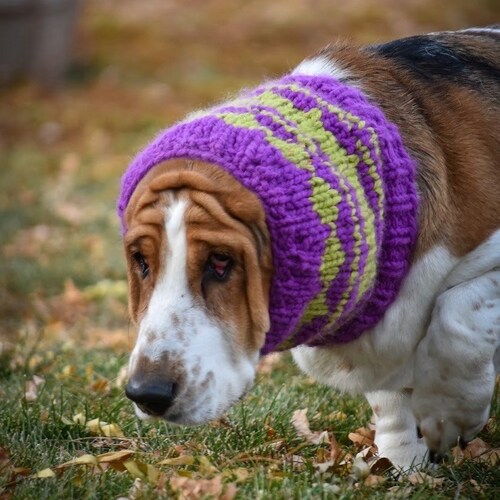 Basset Hound Snood Knit Dog Snood Snood for Dogs Dog Lover Etsy