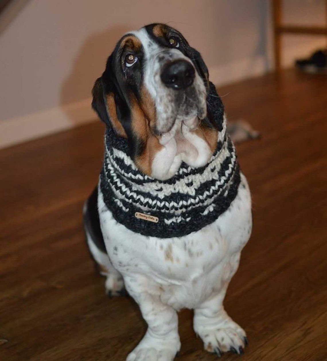 Basset Hound Snood Knit Dog Snood Snood for Dogs Dog Lover Etsy