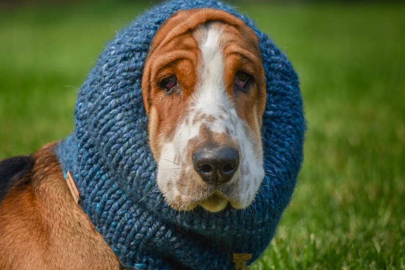 Basset Hound Snood Knit Dog Snood Snood for Dogs Dog Lover Etsy